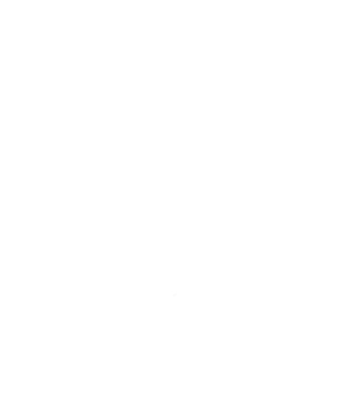 TLESS GmbH