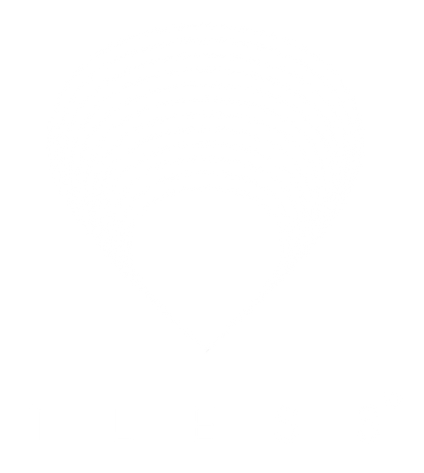 TLESS GmbH